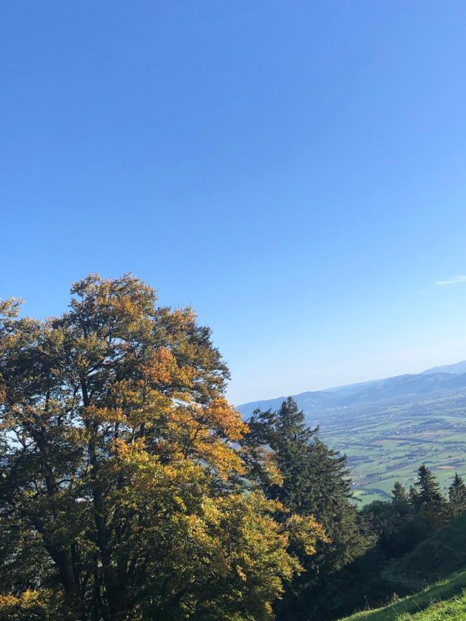 ホテルMontlinger Schwamm Oberriet エクステリア 写真
